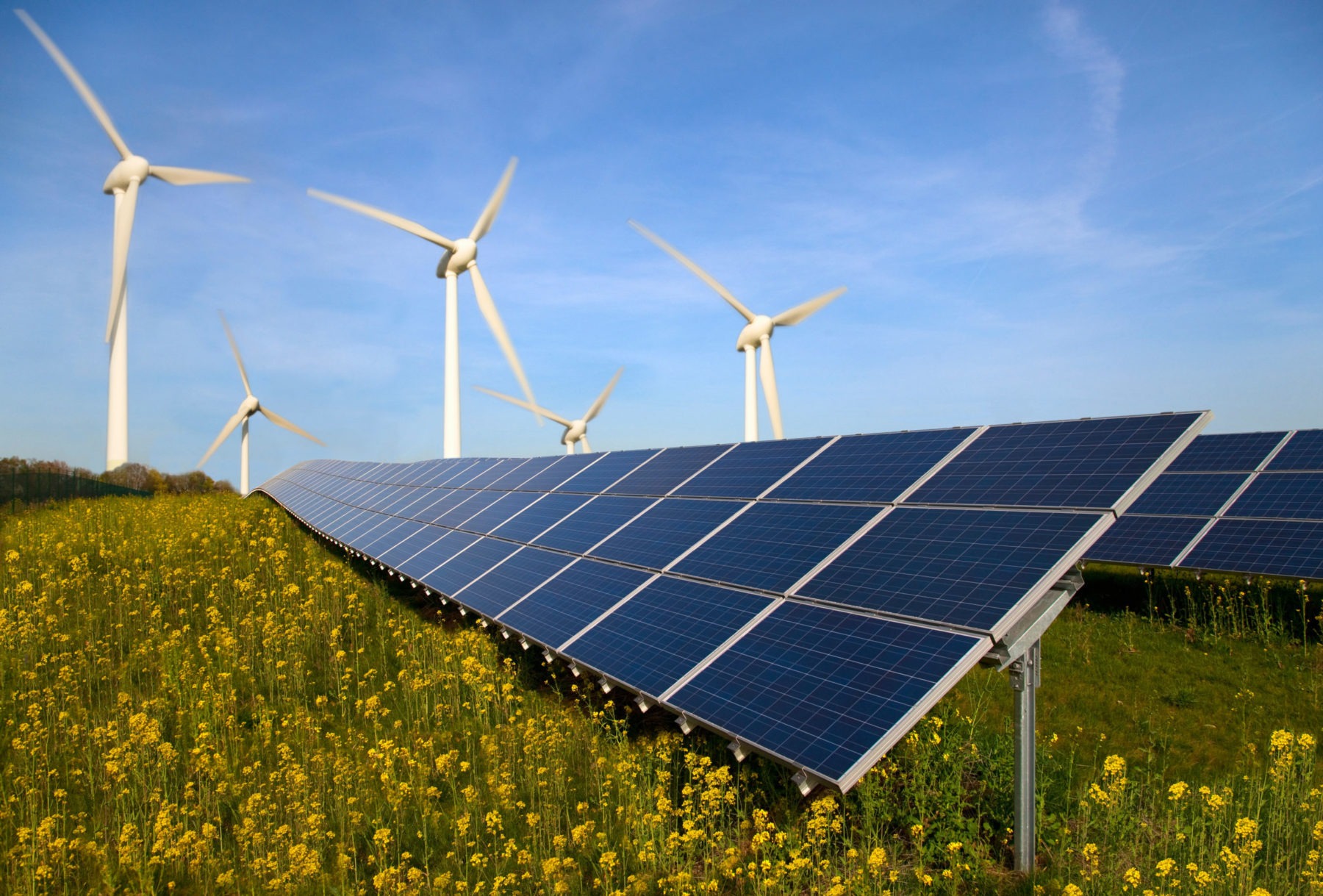 Solar panels and wind turbines in field