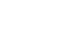Silicon Software Systems Logo