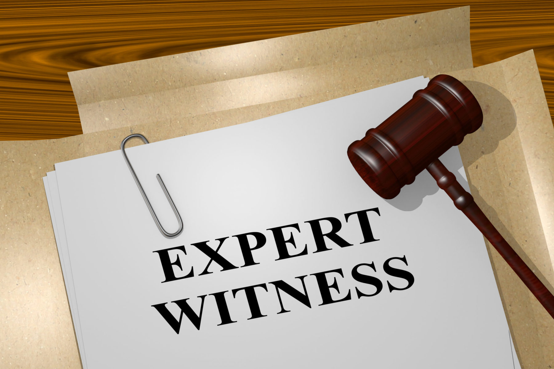 Other Specialist Services - Expert Witness